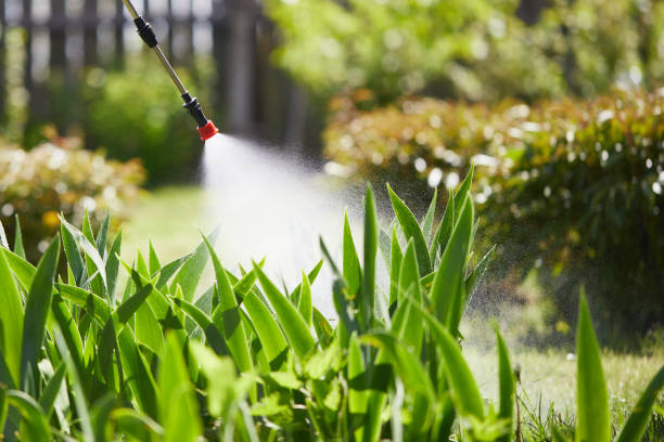 24/7 Emergency Mosquito Control experts in Fort Washington, MD
